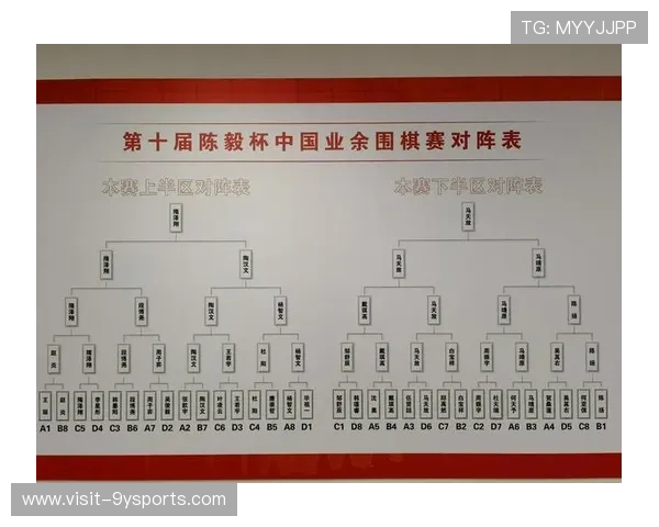 体育技术演进与竞技表现优化的综合分析研究